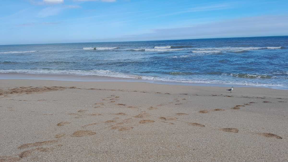 Dove trovare le spiagge più tranquille a La Maddalena nel 2026
